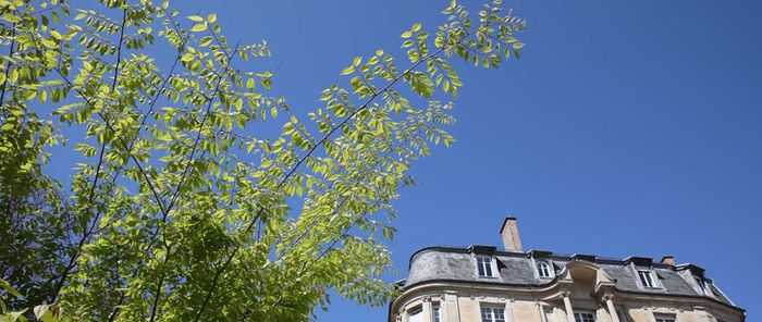 Objectif du mandat en cours : 3 000 plantations d'arbres.