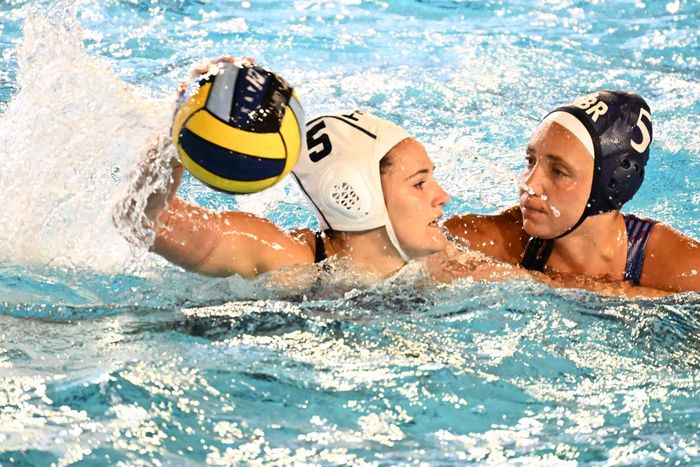 Les joueuses de l'équipe de France s'entraînent avec les Britanniques et les Néo-Zélandaises, à la piscine de l'Illberg.