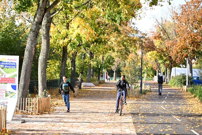 Scènes de vie sur le boulevard Roosevelt.