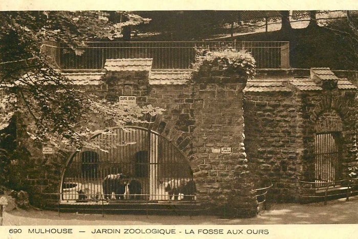 Carte postale de 1938 montrant l’ancienne fausse aux ours bruns du jardin zoologique de Mulhouse. 
