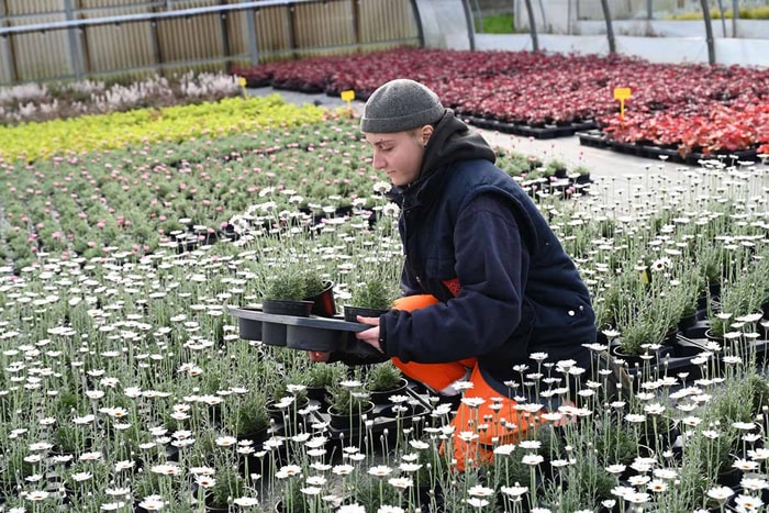 116 agents œuvrent au sein de la direction Nature et Espaces verts de la Ville. 