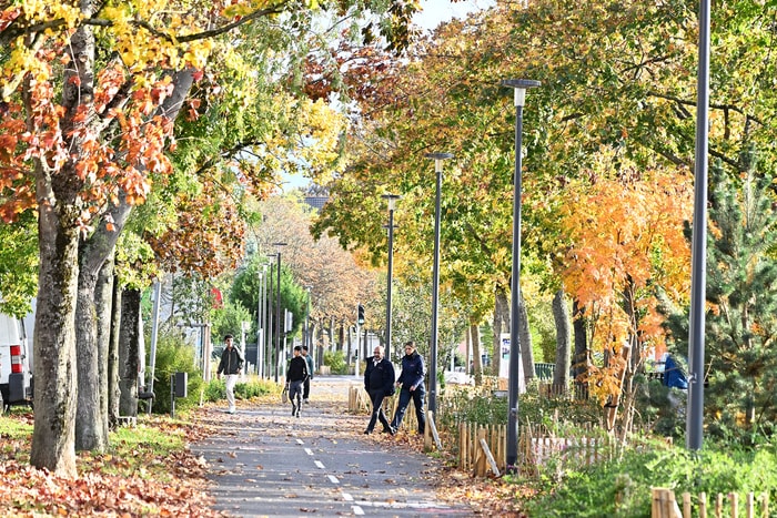 L'automne...