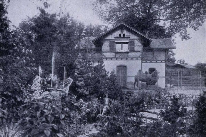 Photographie de Jean-Daniel Schoepflin du parc et de ses jardins botaniques, au début du XXe siècle. 