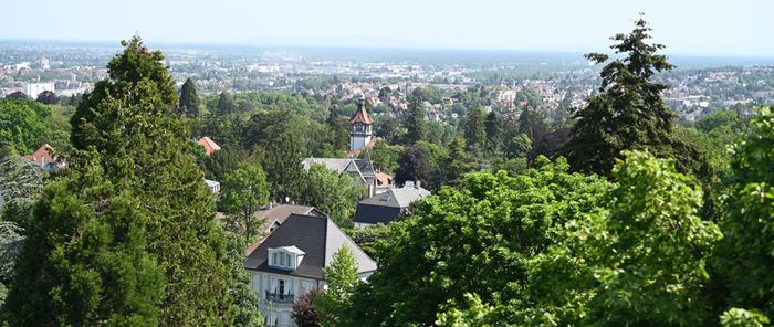 Un rallye pour redécouvrir le Rebberg.