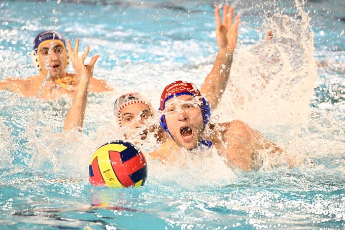 Après avoir battus Givors le week-end dernier, les Mulhousiens (5e) défient Moulins, samedi 20 décembre à 20h à l’Illberg.  