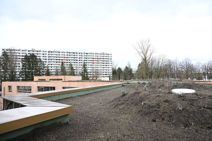 Le toit en cours de végétalisation du groupe scolaire Claire Roman.