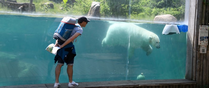 Au zoo, des animations seront proposées tout au long de la journée.