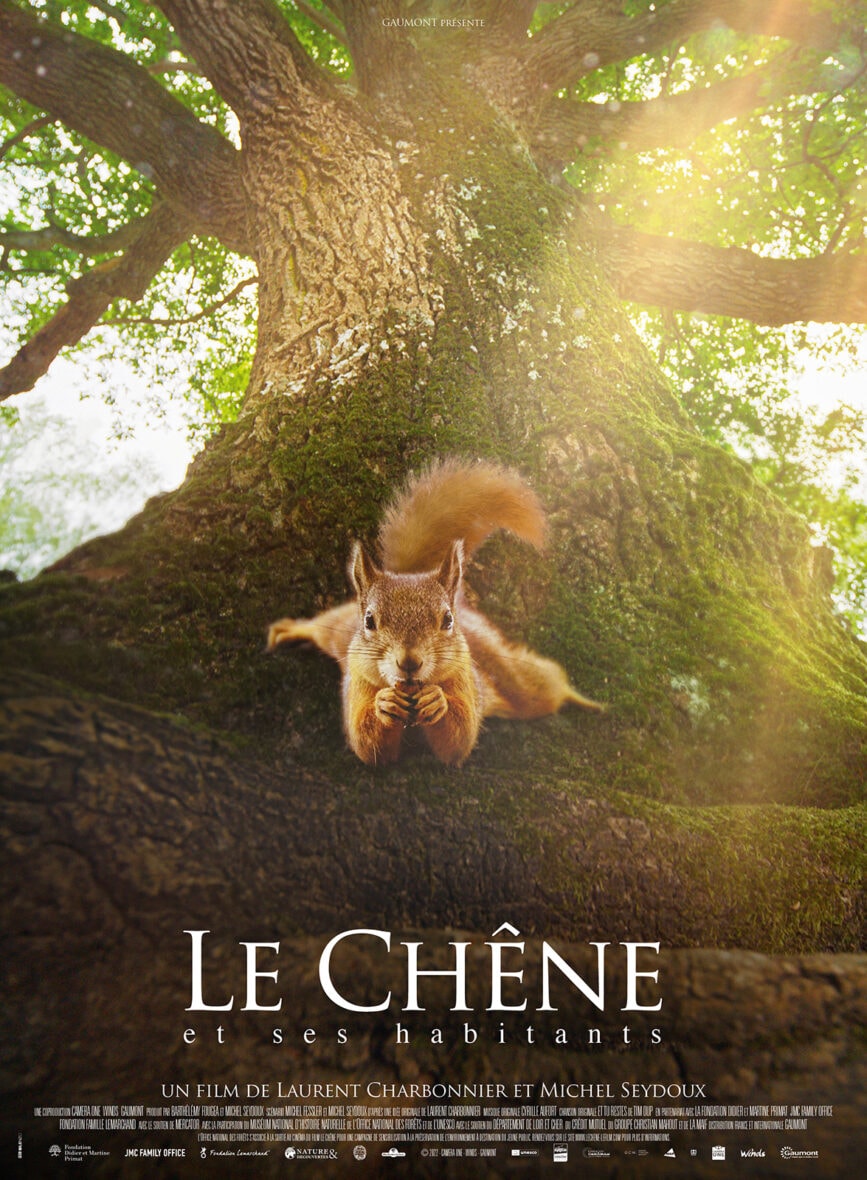 CINÉ-RELAX "LE CHÊNE"