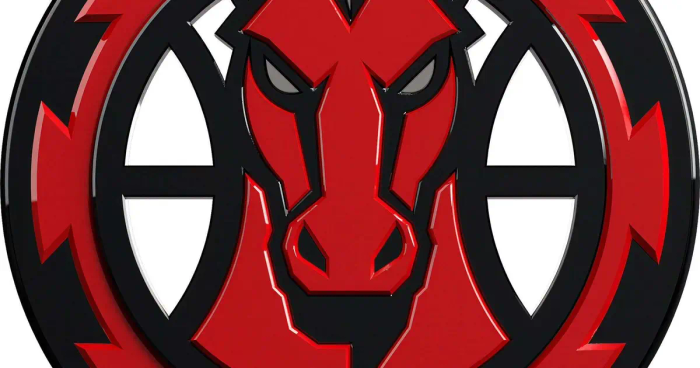Mulhouse - Berck (basket)