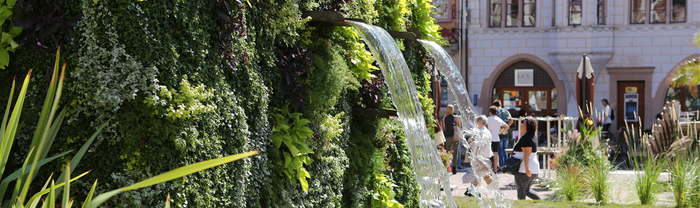 Jardin Ephémère