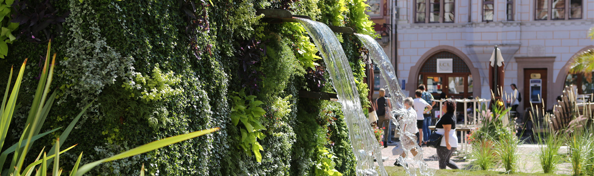 Jardin Ephémère