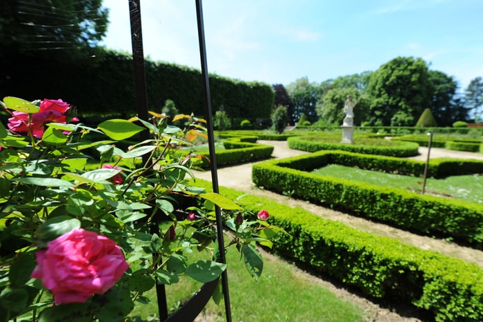 Visite guidée du parc Alfred Wallach : un jardin à la française unique à découvrir