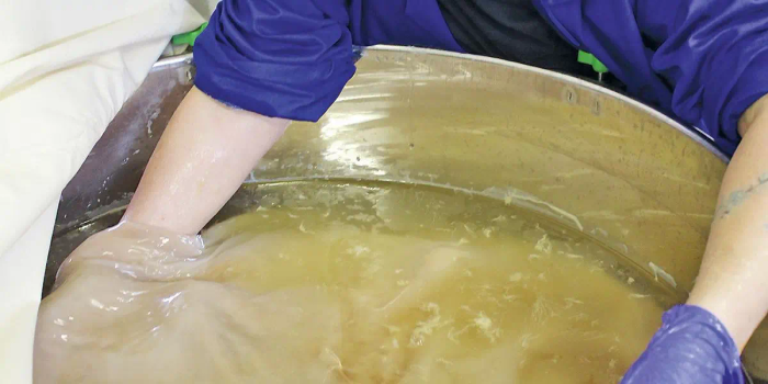 "Ferments" : un salon dédié à la fermentation... en même temps que le salon Brut(es) à Mulhouse