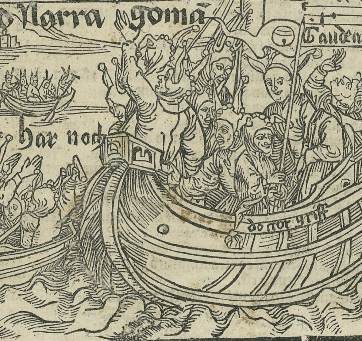 Animations Adultes – Bibliothèques