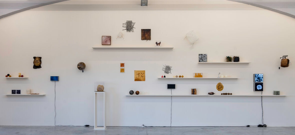 Visite commentée de l'exposition "Alchimia Nova"