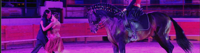 Tangalo, quand les chevaux dansent le tango