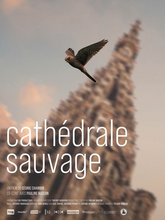 PROJECTION "CATHÉDRALE SAUVAGE" + RENCONTRE AVEC LES RÉALISATEURS