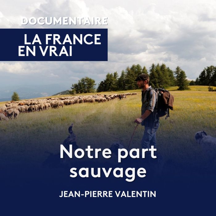 PROJECTION / RENCONTRE