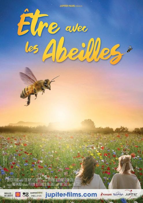 PROJECTION / RENCONTRE