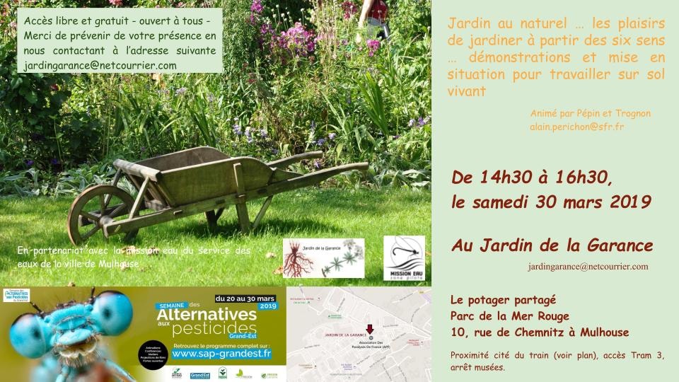 Jardin au naturel : les plaisirs de jardiner à partir des six sens