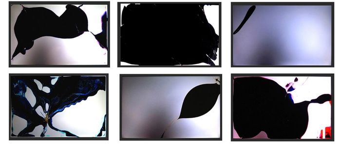 Exposition Cathode
