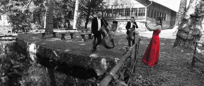 Concert symphonique #7 : le Requiem de Mozart
