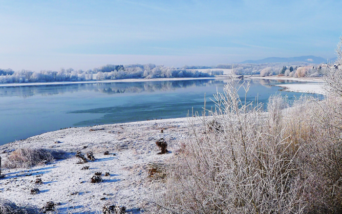 Sortie Naturaliste : le lac de Michelbach