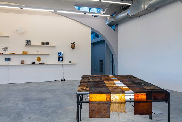 Visite commentée de l'exposition "Alchimia Nova"