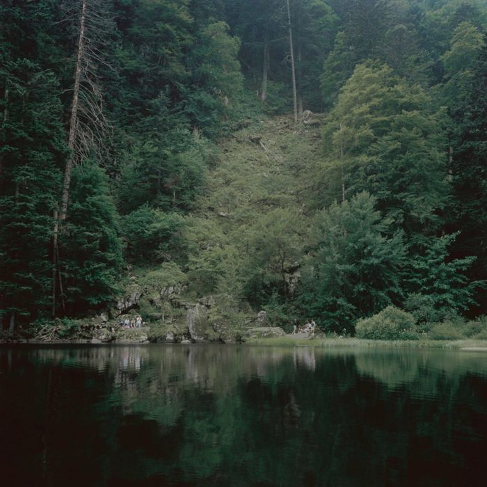 Approches du lieu // lacs, jardins