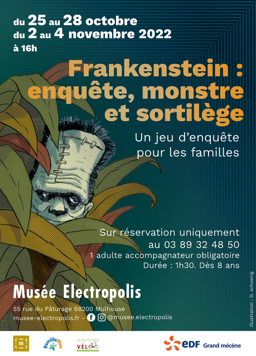 Frankenstein : enquête, monstre et sortilège