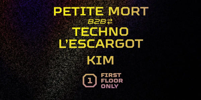 VAULT with Perchépolis