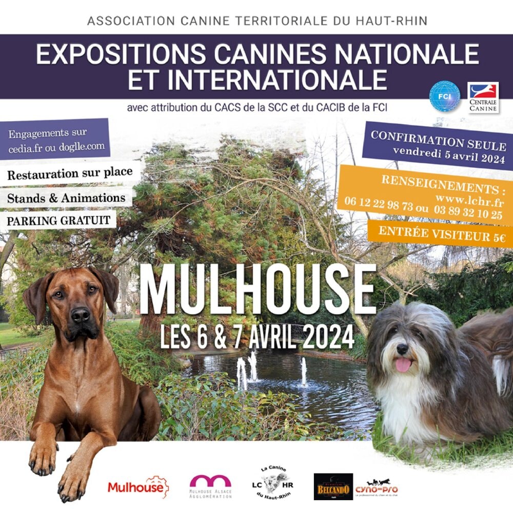 Expositions Canines Nationale et Internationale