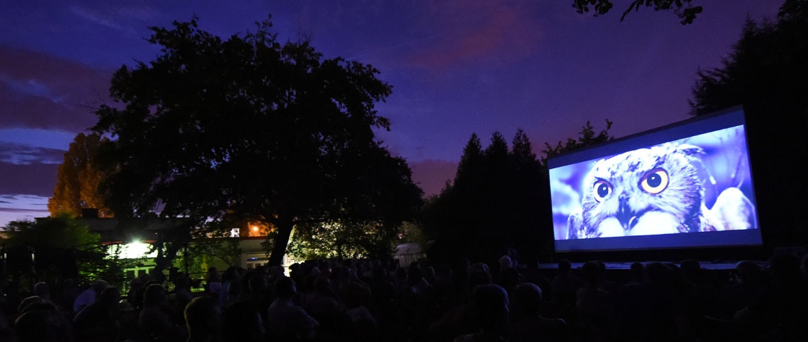 [ANNULE] Cinéma plein air au Mise