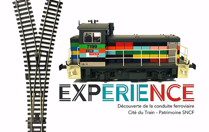 Y EXPERIENCE