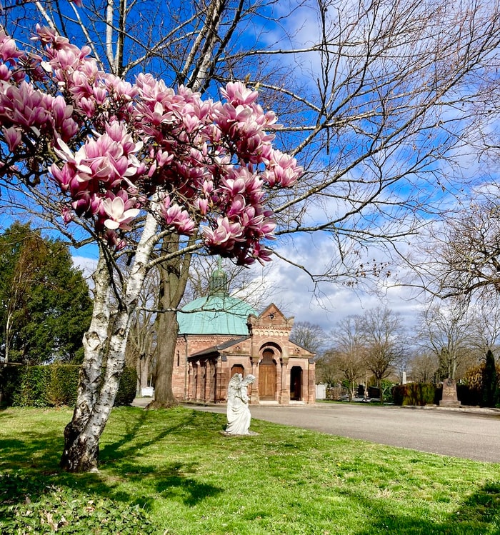 PRINTEMPS DES CIMETIERES : les Mulhousiennes remarquables