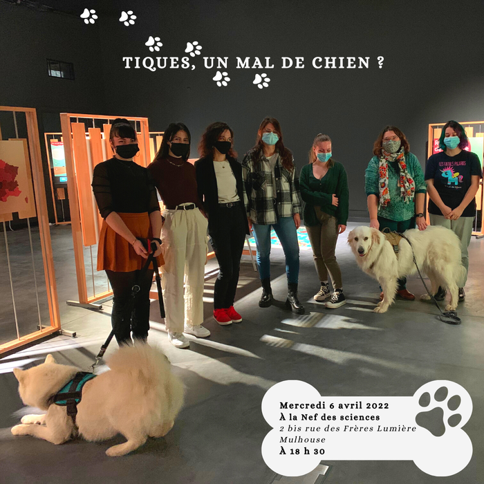 Tiques, un mal de chien ?