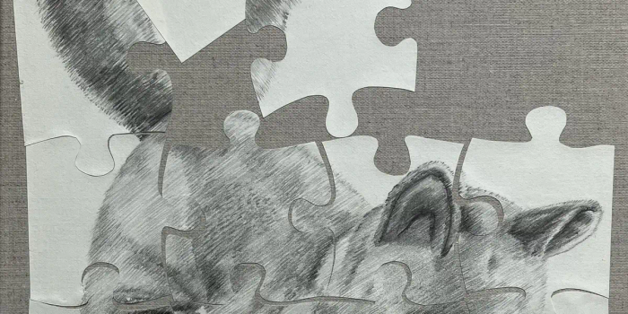 Nouvelle Exposition de Inga IKONEN au Museum GERBO de Mulhouse