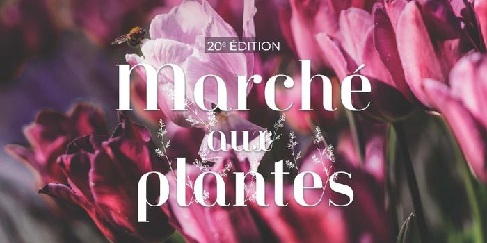 Marché aux Plantes