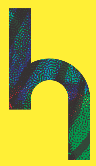 Conférence de presse Séchoir - Mulhouse