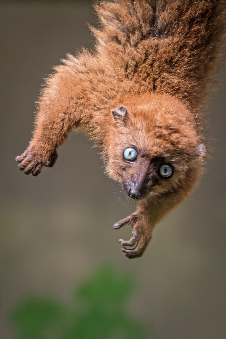 Journée découverte au zoo 2019