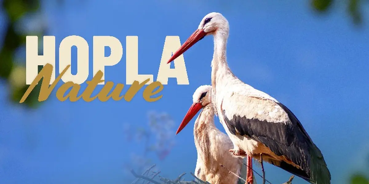 Hopla Nature au Parc Zoologique et Botanique de Mulhouse : biodiversité et nature à portée de main