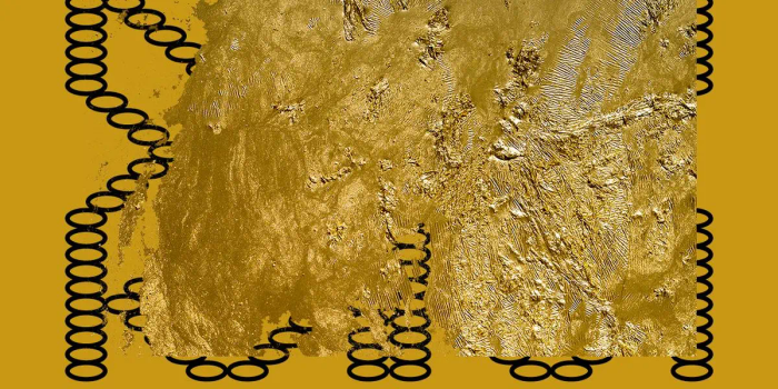 "Persistances" - Hassan Darsi