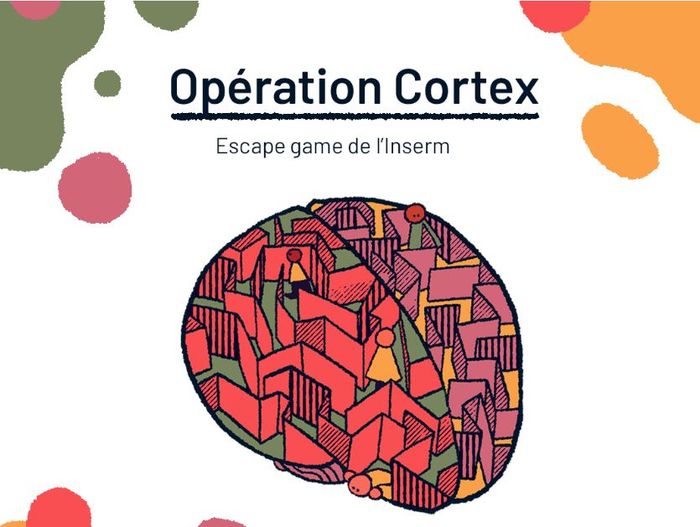 Escape Game : opération cortex !