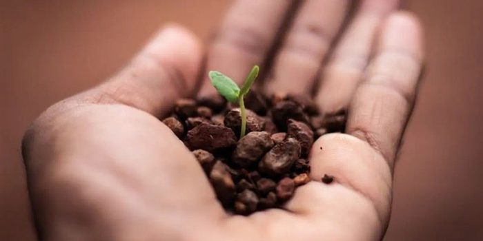 Bouturothèque : troc de plantes et de boutures à la bibliothèque du Drouot