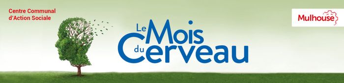 15ème édition du Mois du Cerveau