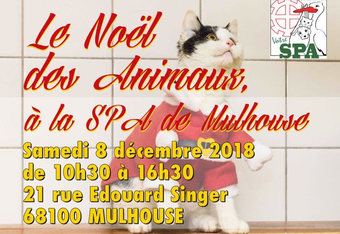 Noël des animaux à la SPA