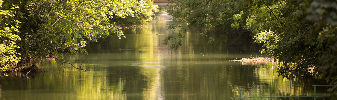 L'été en diagonales