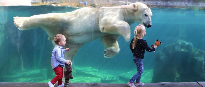 Les ateliers d'été du zoo
