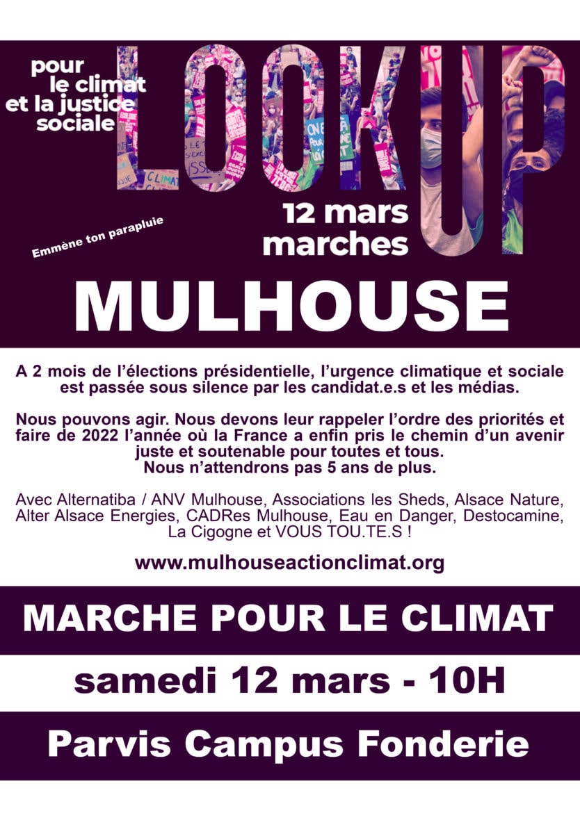 MARCHE "LOOK-UP