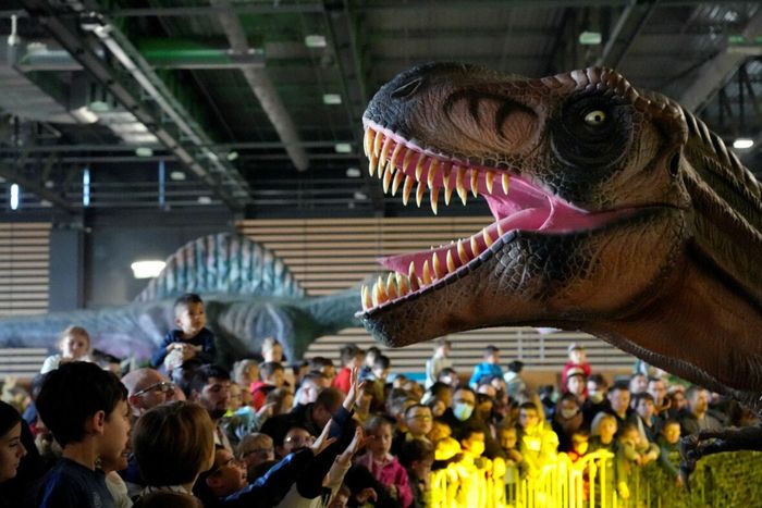 Le musée éphémère des Dinosaures